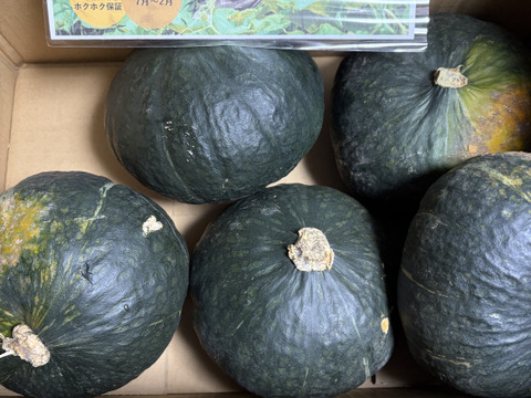 【訳あり】ホクホクがたまらない♪三右エ門栗かぼちゃ 5㎏【化学肥料不使用】