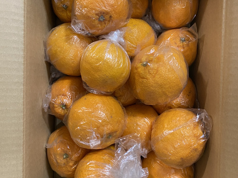 【たまらん】酸味・甘味と鼻から抜ける香りの多重奏！　熊本県不知火産　デコみかん　５kg　※訳あり