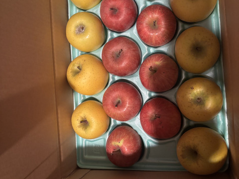 《ふじ×シナノゴールド》家庭用 5kg