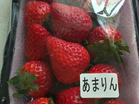【あまりん・かおりん】食べ比べ２パック(500g)🍓