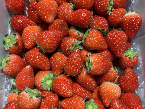 とちあいか（MSサイズミックス） 【約1kg】