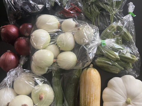 秋の自然栽培野菜LLセット7種類〜《12月、自然栽培野菜5.5kg前後80サイズ》朝採りで超新鮮［季節の固定種在来種専門農家だからできる］淡路島から初収穫固定種人参いり