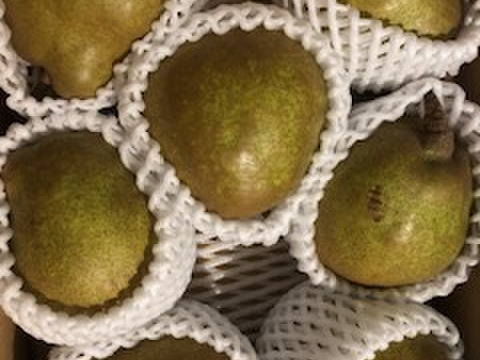 ●訳あり●　山形県産　洋梨　ラ・フランス　2kg (6～12玉)