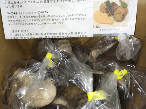 【うま味と食感に感動！】信州中野産　肉厚・黒あわび茸（6袋）