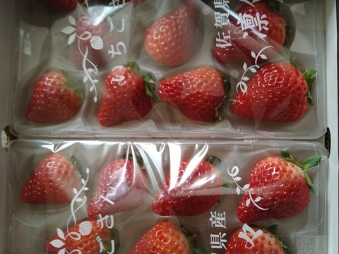 佐賀県新品種🍓いちごさん（250g×2）