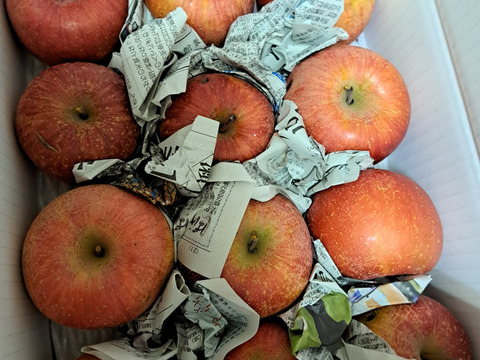 食べちょくアワード入賞記念　500円割引中❣　まるせい果樹園のサンふじ　訳あり　自家用　家庭用　3キロ rf7