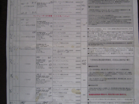 美味しい小玉 樹上完熟サンふじ 総重量 約4kg前後 青森県 南部地方産 自家りんご農園生産直送品！