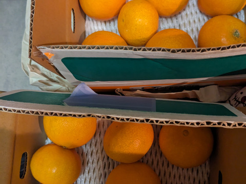 まるで天然ゼリー！まどんな（ご家庭用・2㎏）×２箱