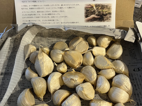 毎年2万箱売れてます！】300g!! 青森県産にんにく 最高級品種