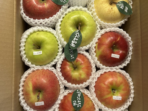 ノースページ 農家直送青森検査りんご使用加工品詰め合わせセット各8個ずつ ノースページ 農家直送青森検査りんご使用加工品詰め合わせ