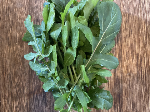 お料理の幅が広がる！ 季節の西洋野菜 Italian selection 60サイズ