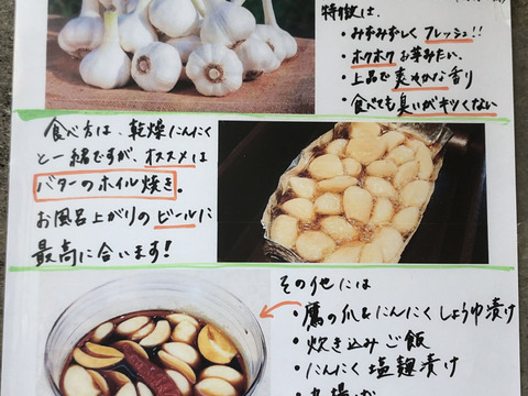 ほっくほく！収穫直後の新にんにく☆期間限定販売！1kg：長野県産の