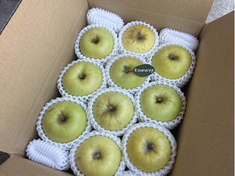 【希少品種】🍏もりのかがやき6〜10玉🍏《家庭用》約3kg ID166002