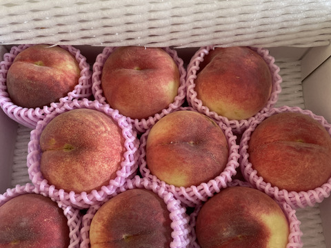 🍑さくら白桃 3kg 8～14玉 9月上旬発送 希少な桃 【ASIAGAP認証
