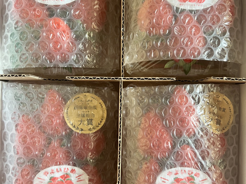 【いちごグランプリ2024最高金賞】新鮮完熟やよいひめ（約275g×4P）