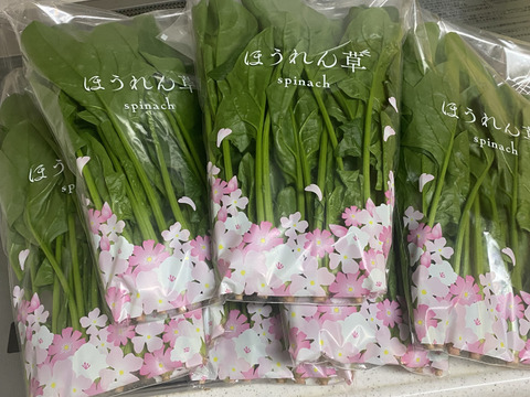 魂のほうれん草 7袋（1kg）