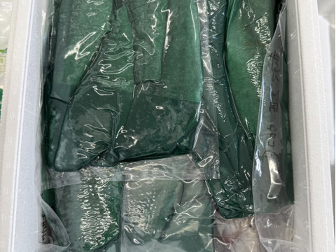 【獲れたら発送】魚介類鮮魚BOX