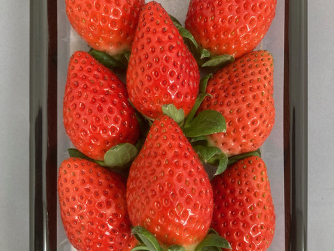 広島県北広島町産いちご「かおり野2L～3Lサイズ6～8粒入り」4Ｐ