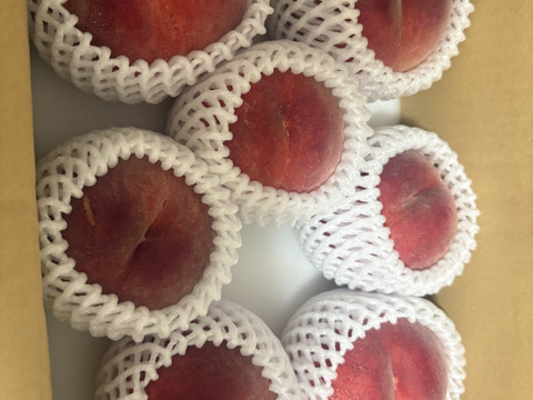 【やわらかめ桃】【朝どれ】トロッとやわらかめの桃好き必見！ 約2kg 約5~8玉