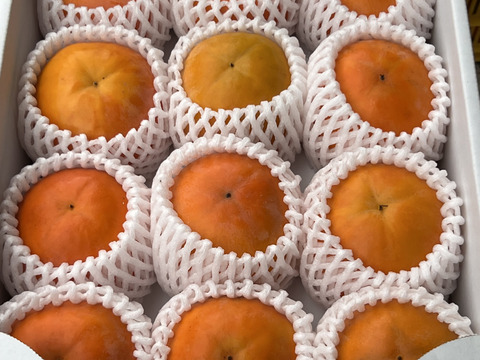 贈答用　富有柿　3㎏　（8〜12個入り）