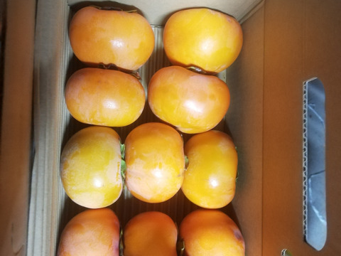 和歌山県産の甘い富有柿　2キロ