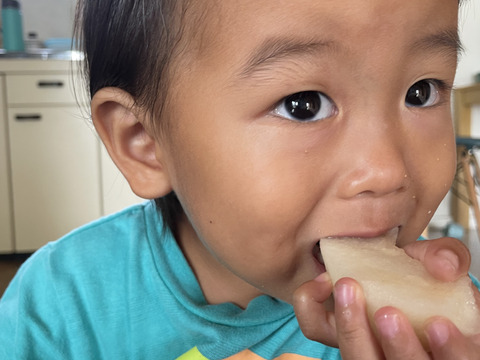 なつひめ梨　5キロ