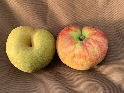 真夏の果実٩(｡•ω•｡)﻿وシナノリップ（3kg）