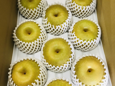 【PREMIUM幸水梨5kg】贈答用(8-10個)✨️特大サイズ、箱を開けた時のインパクトがすごい‼️ひとつひとつ色付きを確認して収穫😋特大梨の収穫量が増えました‼️