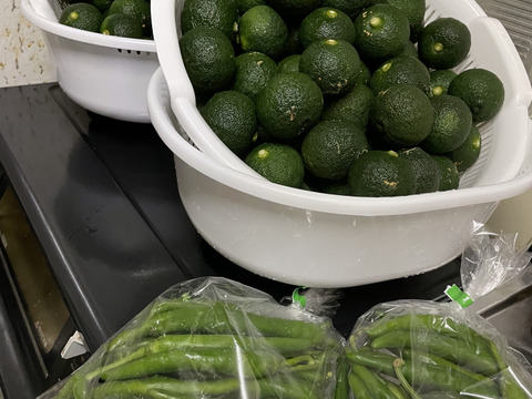 手作りゆず胡椒セット！！青ゆず6㎏＋青唐辛子600g