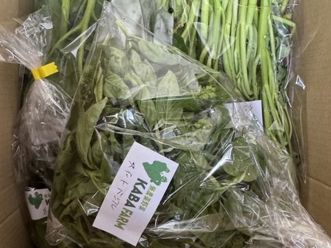 ［10名様限定］固定種野菜セット［7〜10品目］