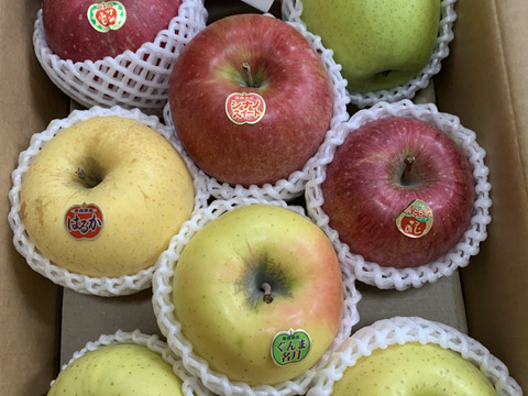 🍎いろいろ食べたい🍎もぎたてジューシー◆甘さが違う！葉とらず入り品種ミックス🍎贈答用３キロ【冬ギフト】【お歳暮】のし対応