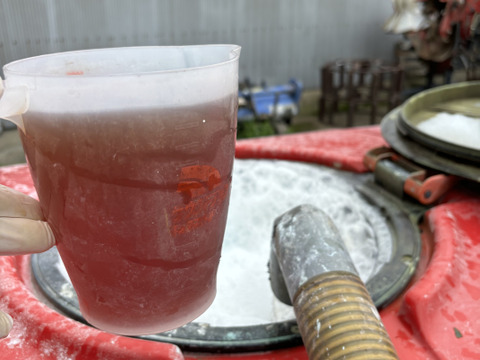 たっぷり果汁と甘さにキュン葉取らずトキ🍎3kg