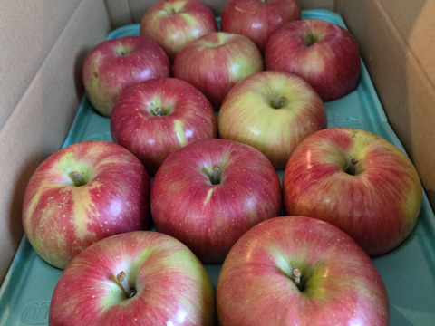 甘くて美味い！シナノスイート　長野県産　ご家庭用　約5kg(10個〜20個)