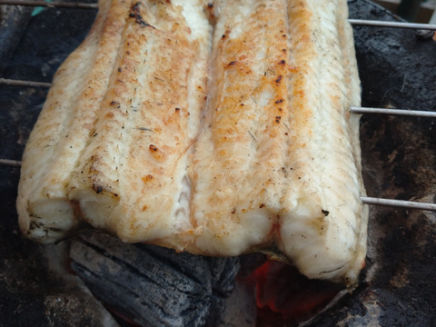 活うなぎ白焼き調理