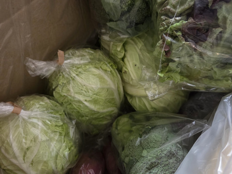 【定期】ニラ好き様😊中山間地域の美味しい季節のニラづくし便。その時採れるニラ、その他野菜は採れたて。加工品などを送ります。100サイズ。