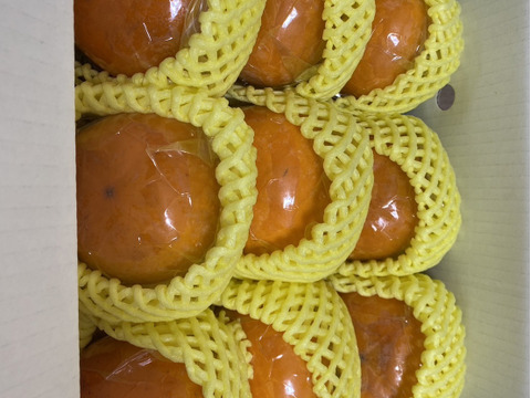 冷蔵柿！種なし！　まるせい果樹園の刀根早生　1キロ　　kr1