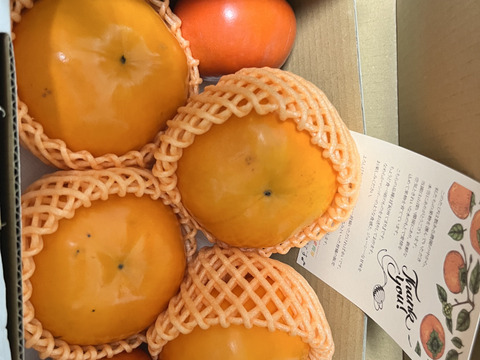 極上果汁！　紀州てまり（柿）🟠✨家庭用サイズ混合(2L以上) 4玉入り　【和歌山県産特別品種】