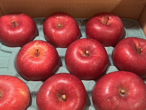 【ふじに飽きたらこれ】 シナノホッペ 3キロ箱 6〜15玉 商品ID44438 長野県 信州 安曇野 リンゴ 幻 幻のリンゴ 予約 希少 旬