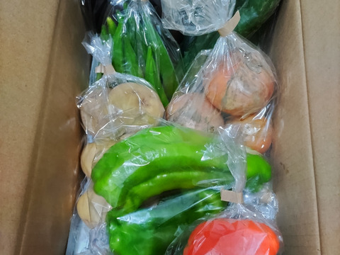 Mサイズ ＊旬野菜セット(約8~9品)【農薬：栽培期間中不使用】