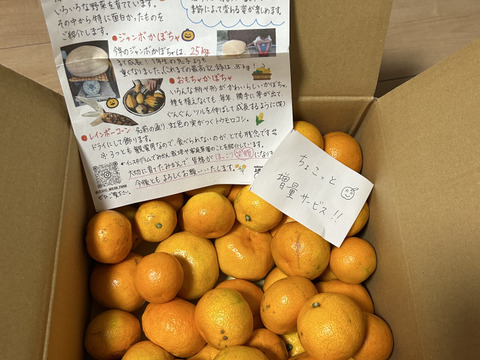 有田みかん【完熟ゆら早生】5kg（箱込）