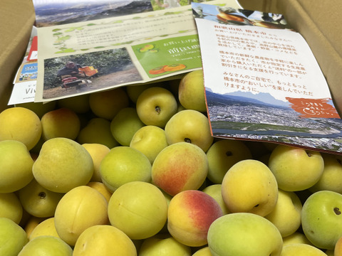 特別栽培】和歌山県産 南高梅Lサイズ(梅干し用)10kg：和歌山県