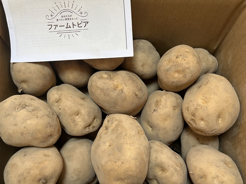 北海道直送 じゃがいもだんしゃく5