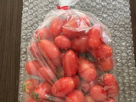 【クール便】【とまほっぺ】アイコトマト 1kg｜愛媛・久万高原直送