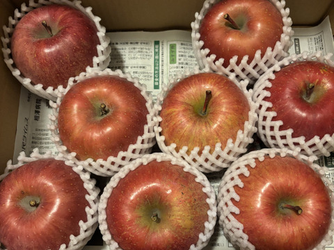 【お待たせしました！】標高730ｍの果樹園からお届け！信州松本育ちのサンふじ🍎りんご　(3kg)【訳アリ】
