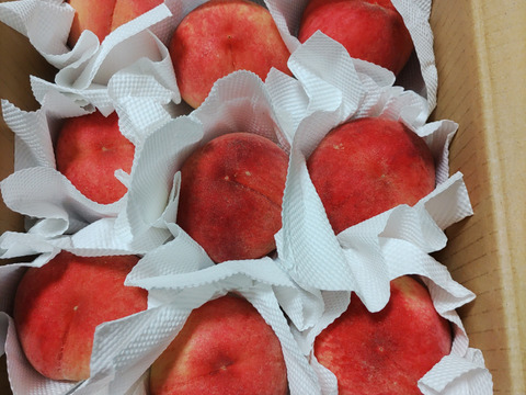 桃　あかつき　良品　約2kg (6個〜9個) 数量限定