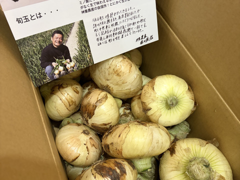 【満天☆青空レストランにでました】サラダ新玉ねぎ「旬玉」生がおいしい！神重農産のブランド玉ねぎ　秀品5㎏