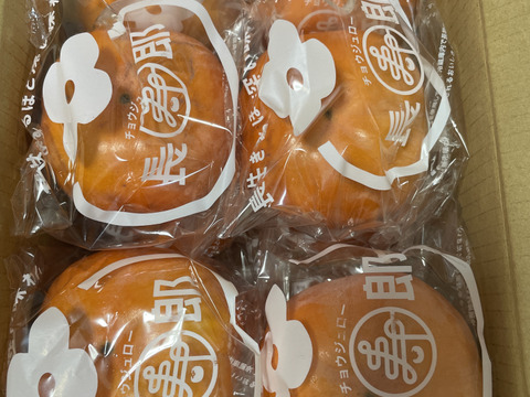 11/10〜順次発送【家庭用】長生き次郎柿『長寿郎』10～14玉入り　鮮度保持フィルム個包装タイプ