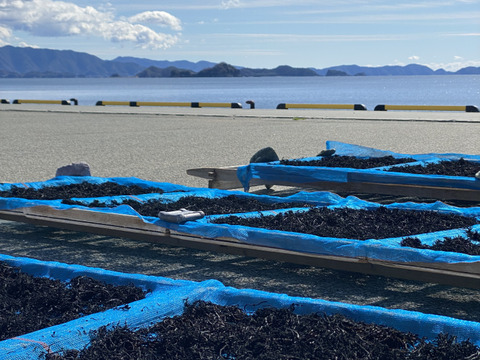 愛媛県佐田岬産 昔ながらの伝統製法
　薪炊き鉄釜ひじき 40g✕12袋セット