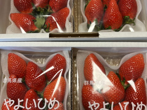 果汁たっぷり❗やよいひめ『群馬いちご』320g×4トレー（2箱）