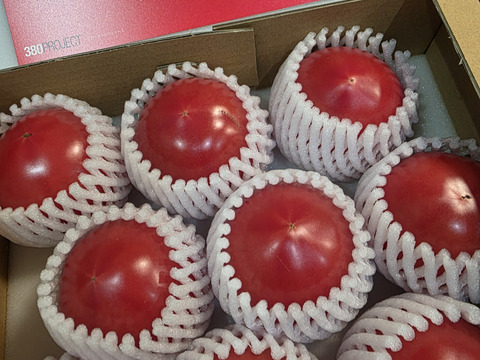 さやまるプロジェクトの朝採り完熟トマト（冬ギフト）